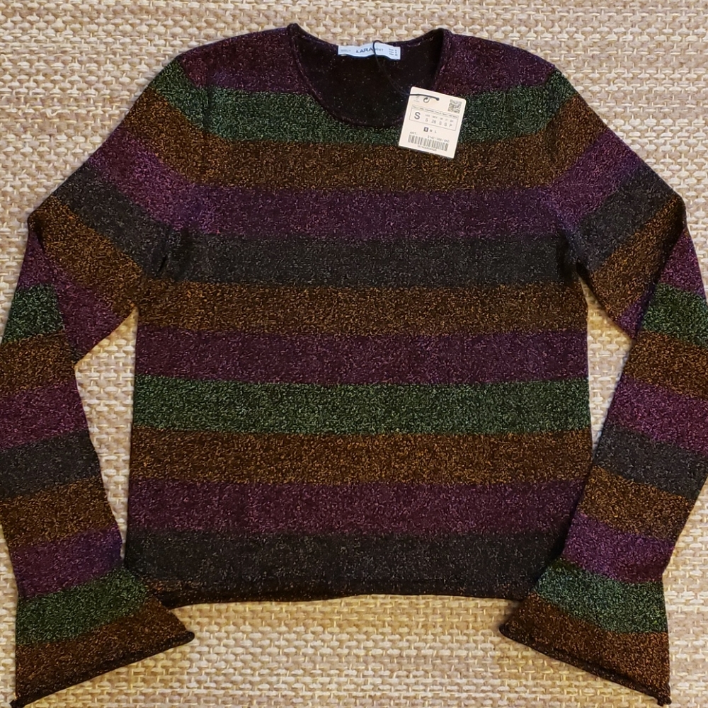 ZARA sz S Womens Multi Color Striped Shimmer Top